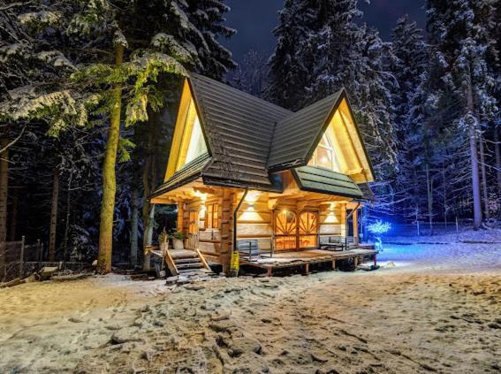 Chata Pod Nosalem - Domek Z Jacuzzi Z Bala W Zakopanym Zakopane Bagian luar foto